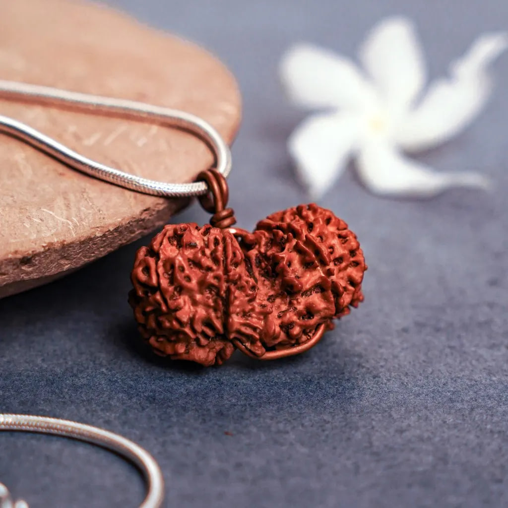 Рудракша Милость Гаури-Шанкар, Иша Лайф; Rudraksha Grace of Gauri-Shankar, Isha Life — миниатюра 3