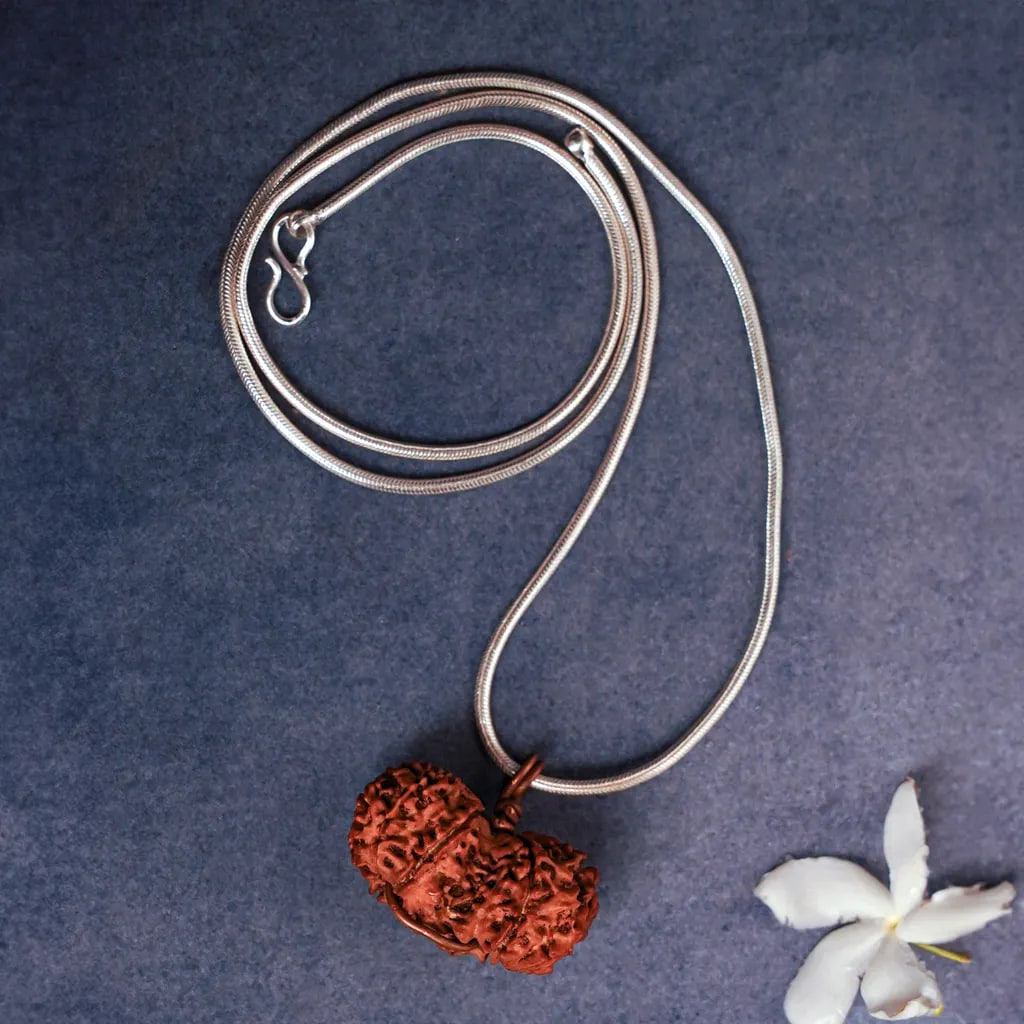 Рудракша Милость Гаури-Шанкар, Иша Лайф; Rudraksha Grace of Gauri-Shankar, Isha Life — миниатюра 2